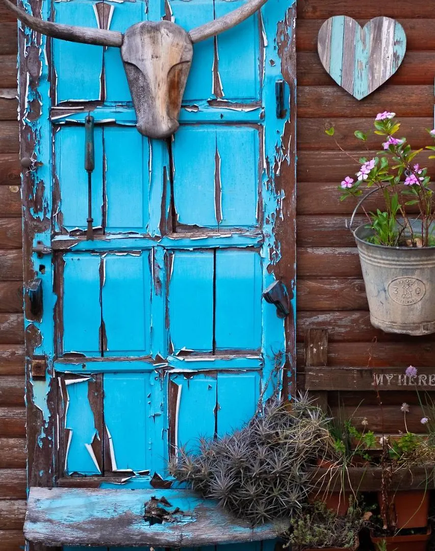 Bed & Breakfast Treetops Guesthouse Port Elizabeth